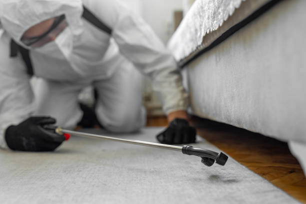 Professional Cockroach Control technician working in Pratt County County, KS